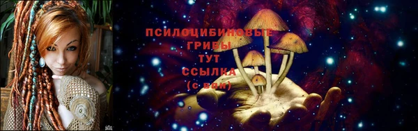 шишки Богородицк