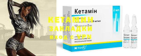 шишки Богородицк