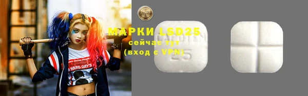 шишки Богородицк