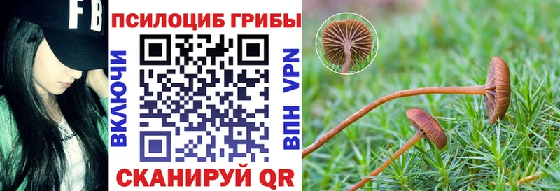 Купить  Грязовец  Галлюциногенные грибы мицелий 